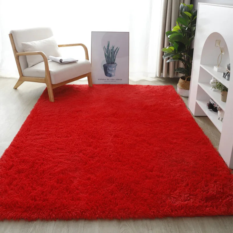 Nordic Style Fluffy Carpet