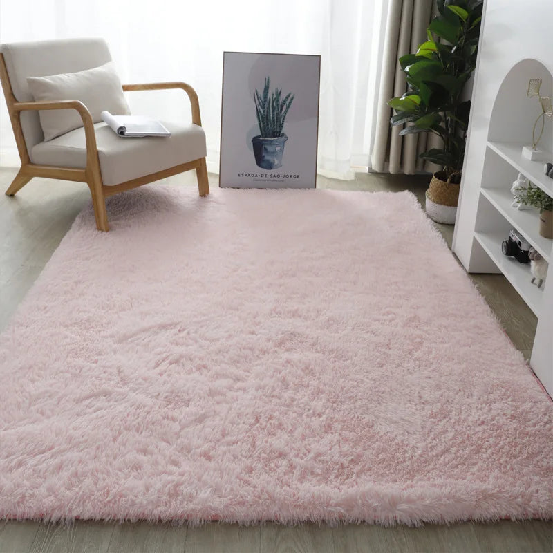 Nordic Style Fluffy Carpet