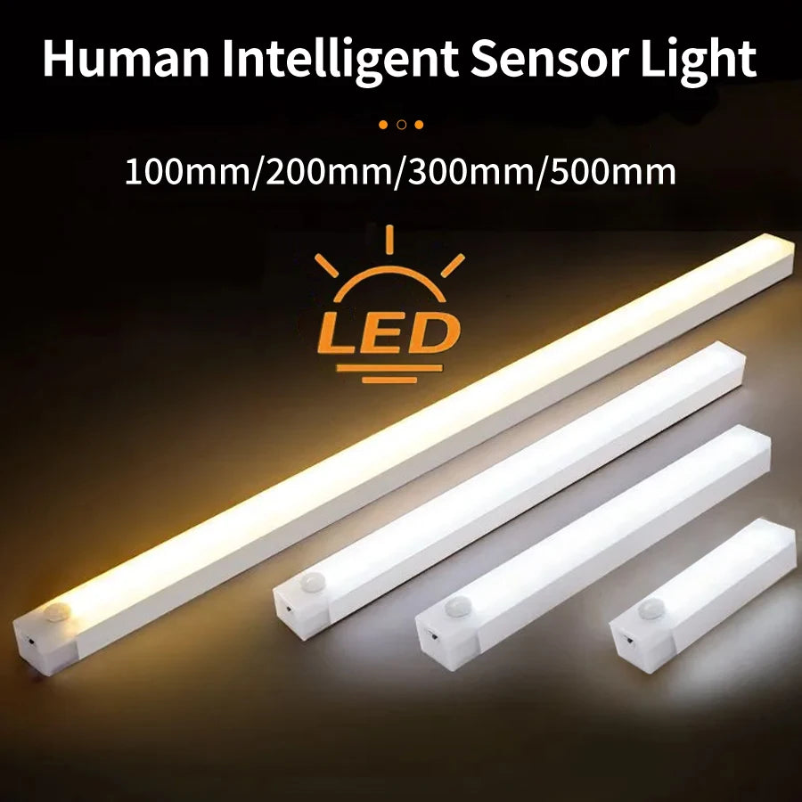 Motion Sensor LED Light