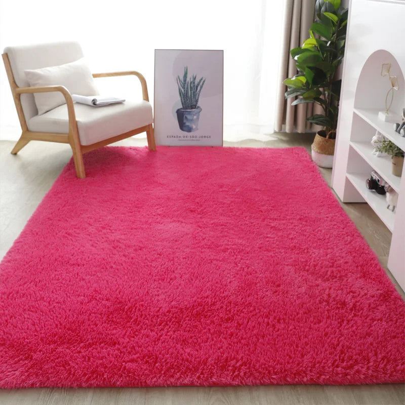 Nordic Style Fluffy Carpet