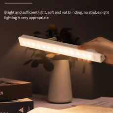 Motion Sensor LED Light