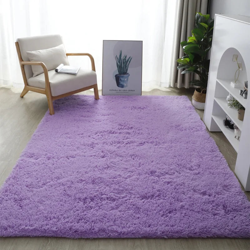 Nordic Style Fluffy Carpet