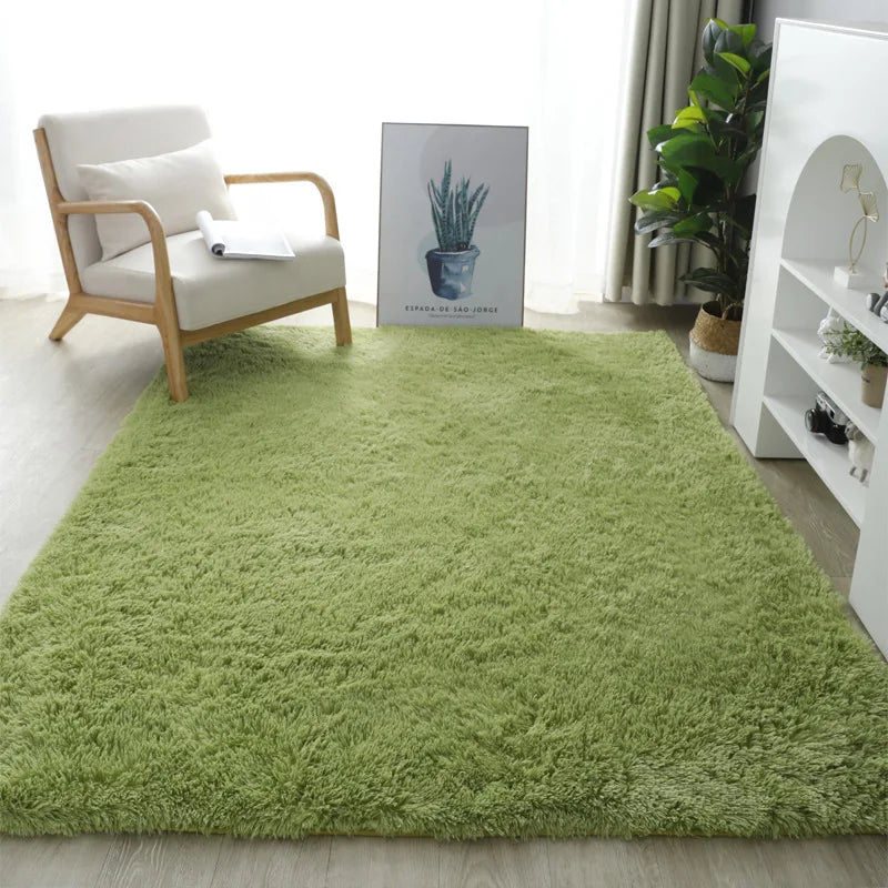 Nordic Style Fluffy Carpet
