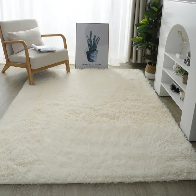 Nordic Style Fluffy Carpet