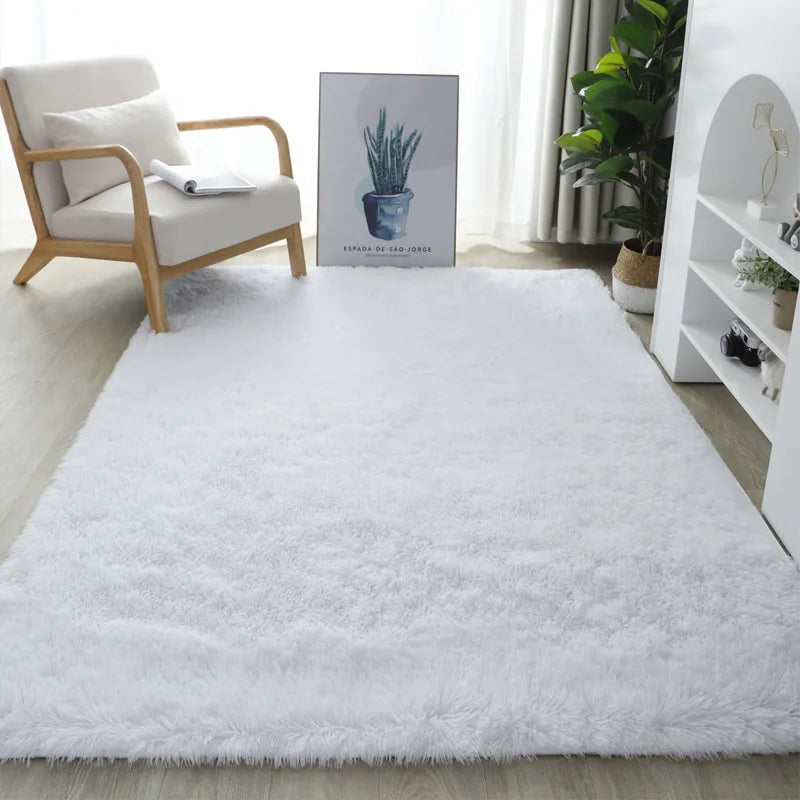 Nordic Style Fluffy Carpet