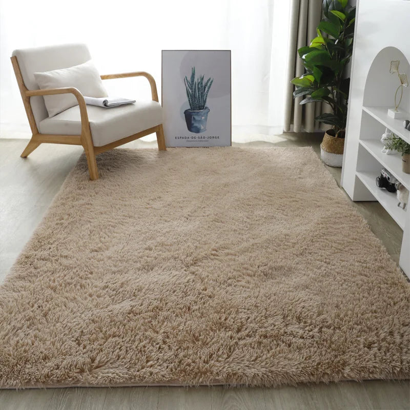 Nordic Style Fluffy Carpet