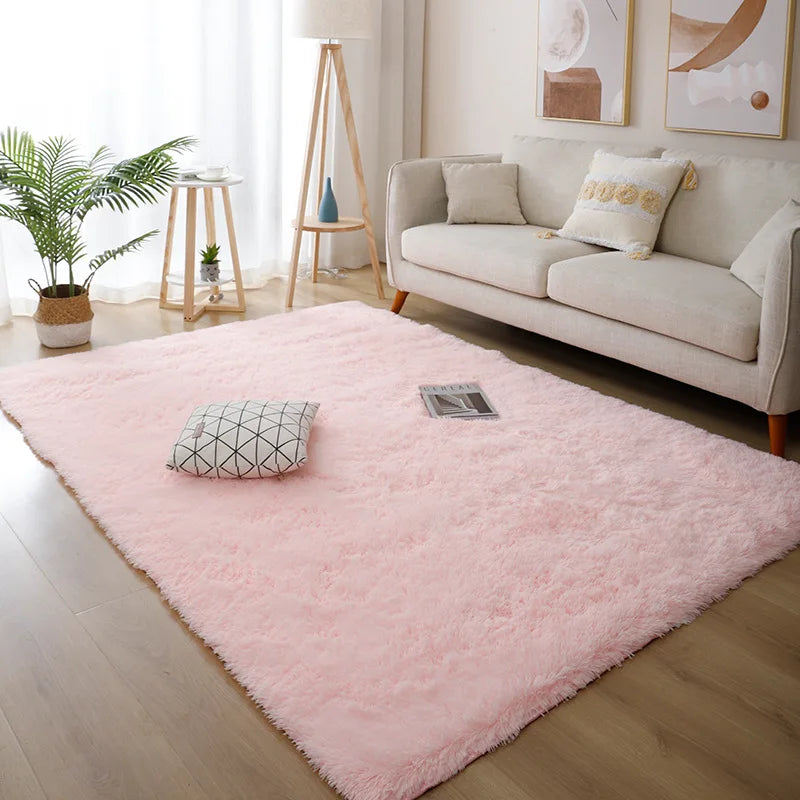 Nordic Style Fluffy Carpet
